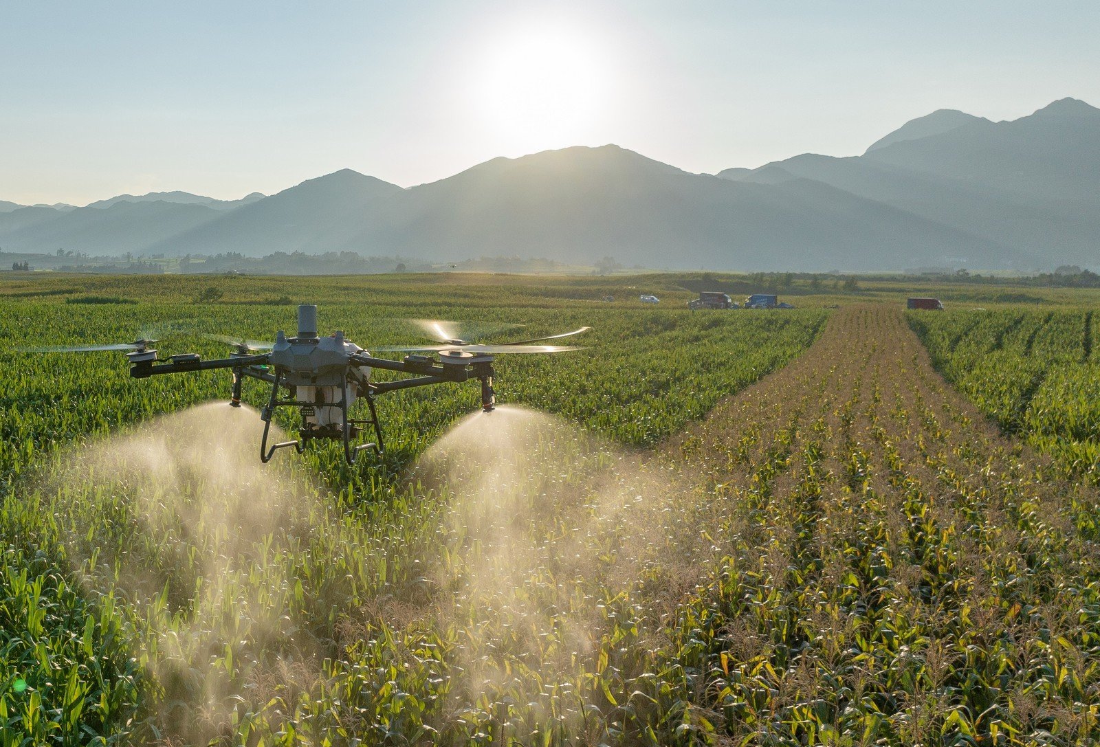 El dron llega a superficies donde no entra un equipo terrestre.