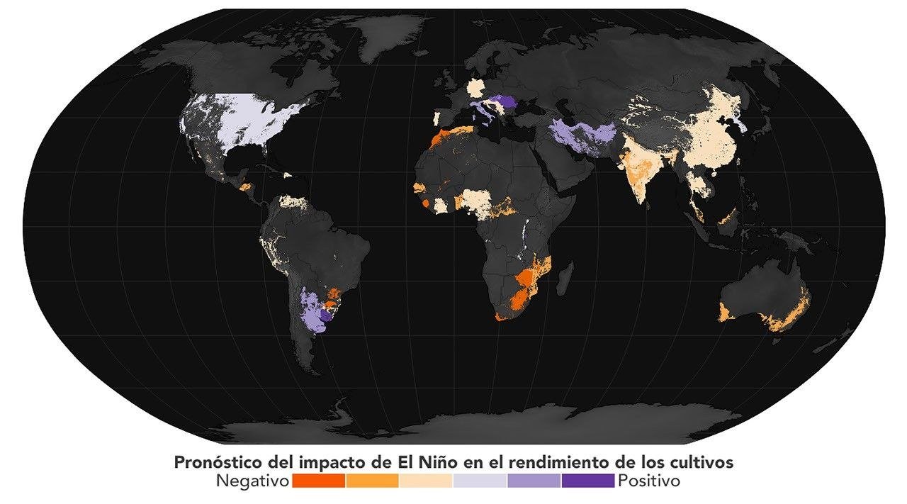 Pronóstico del impacto de El Niño en el rendimiento de los cultivos