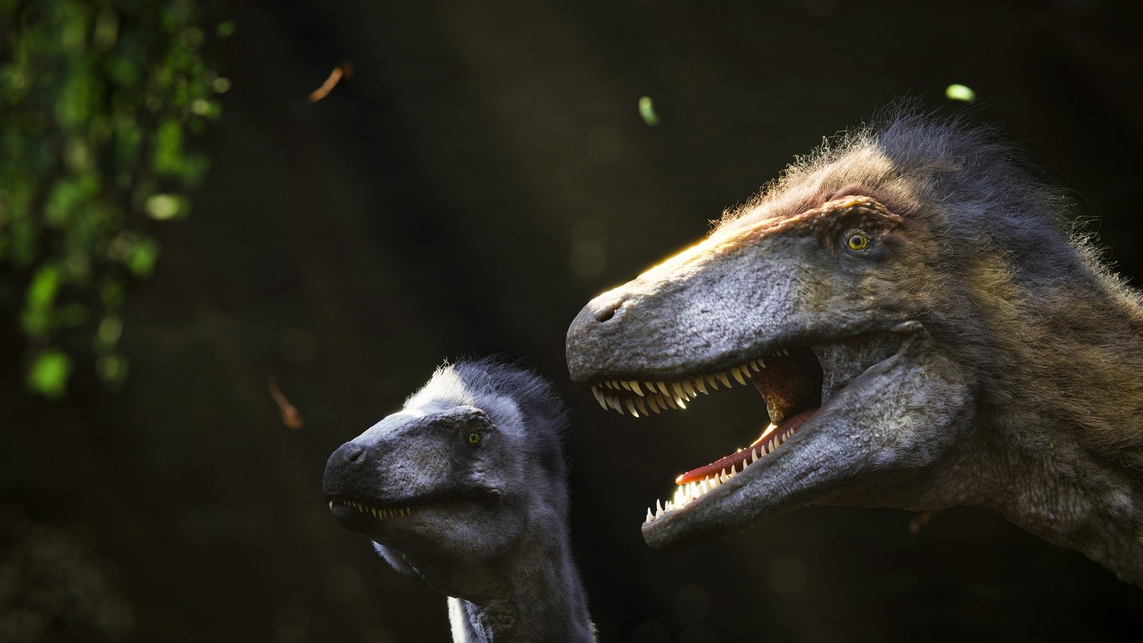 Hallan el primer megaraptor en Europa: un dinosaurio de garras enormes que dormía en un museo