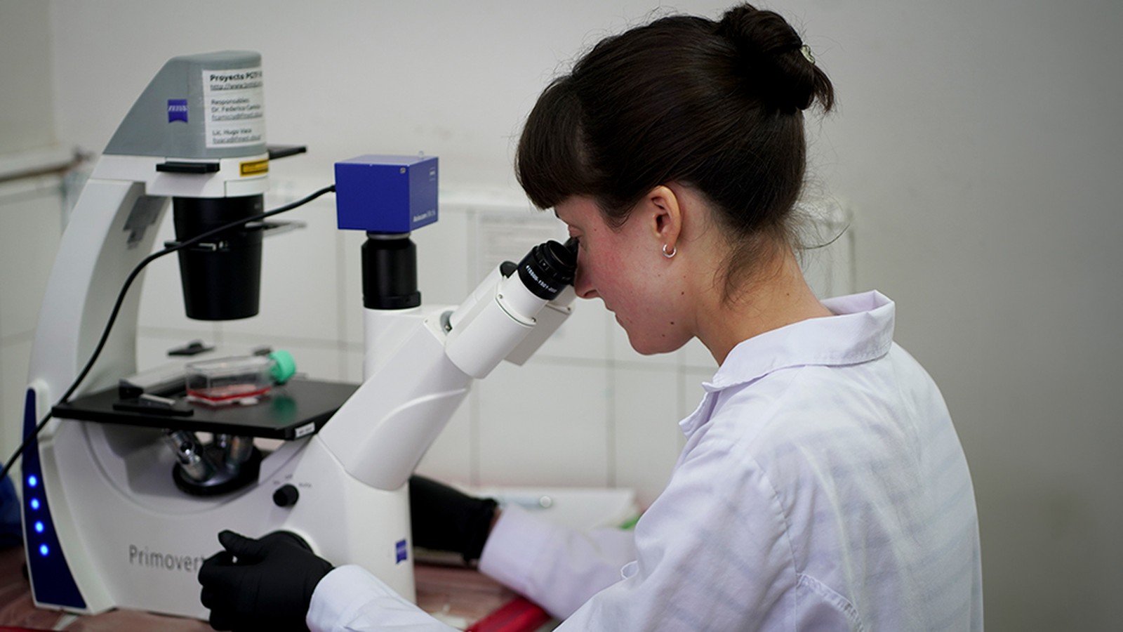 Vacuna contra la gripe aviar: científicos argentinos desarrollan una de ARN mensajero